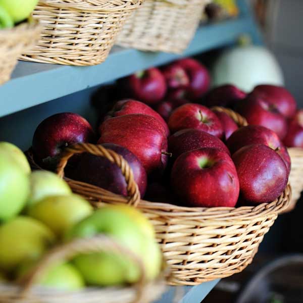 Grays Apple Ridge Orchard