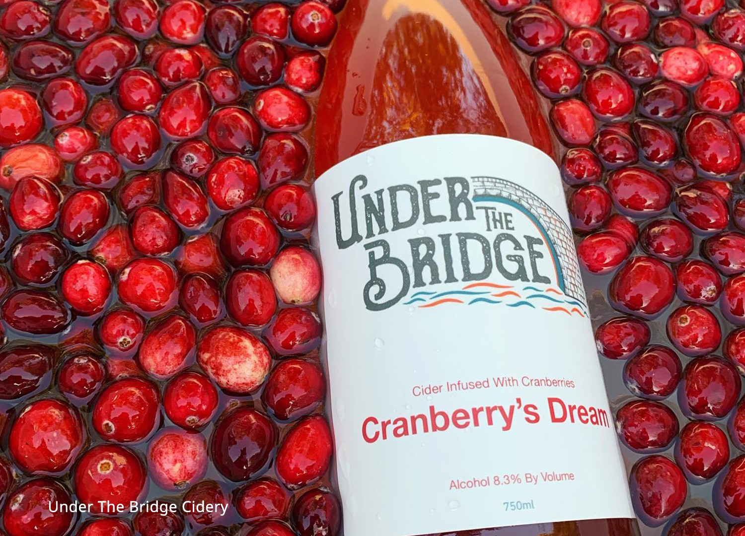 Cranberry hard cider