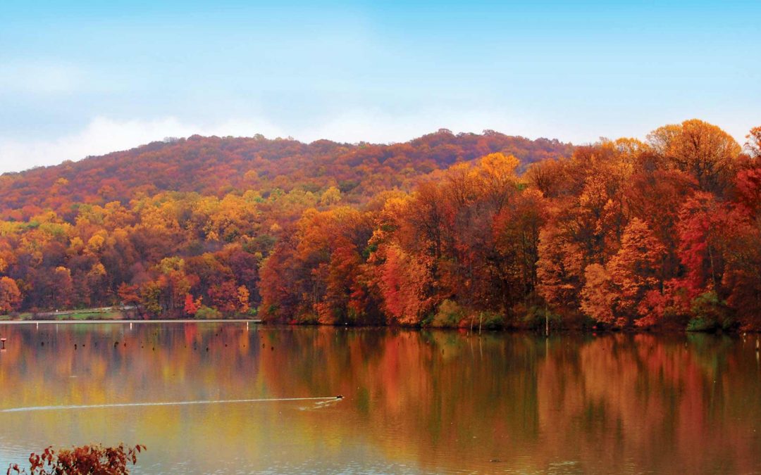 The Best Fall Foliage Views