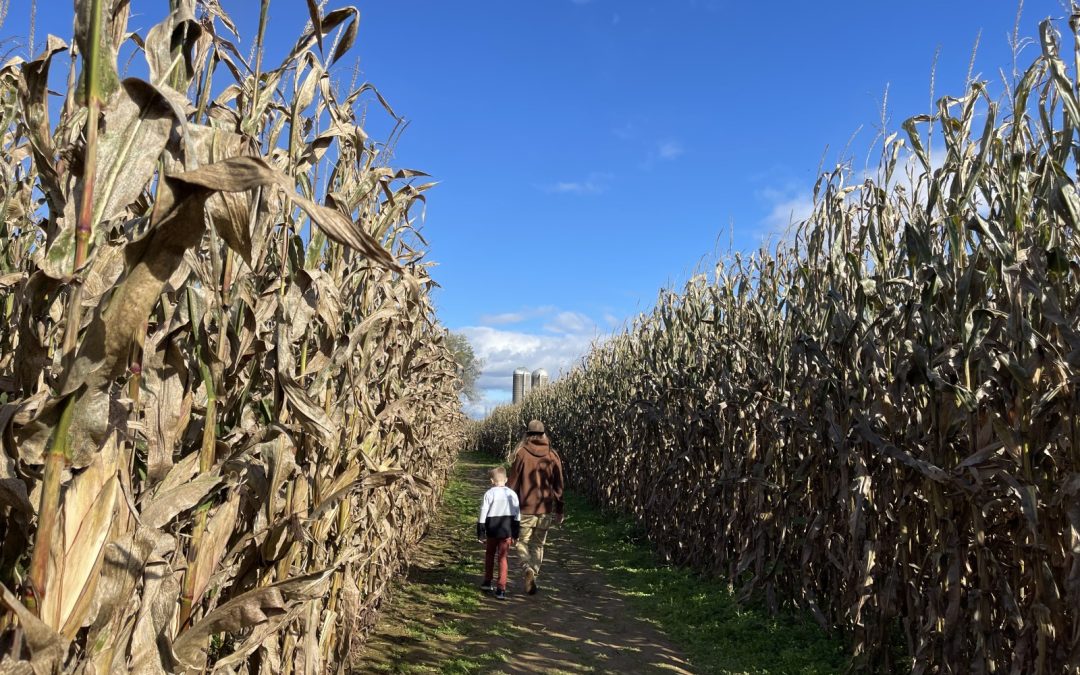 A Fall Family Adventure at Seyfert’s Corn Maze