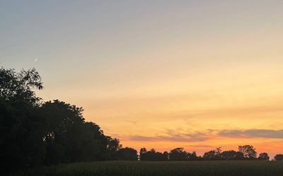 A Summer Evening Stroll